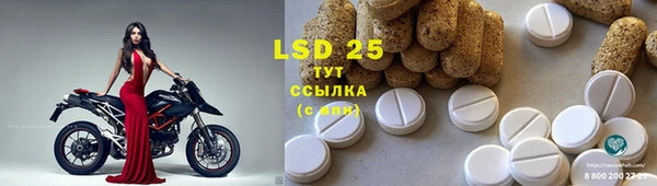 spice Белокуриха