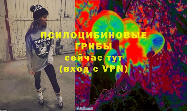 спиды Белоозёрский