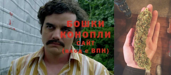spice Белокуриха