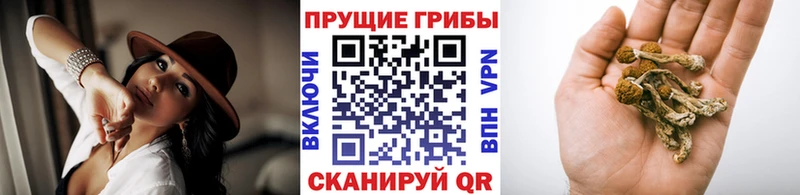Галлюциногенные грибы ЛСД  Плёс 